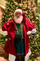 Santa green vest